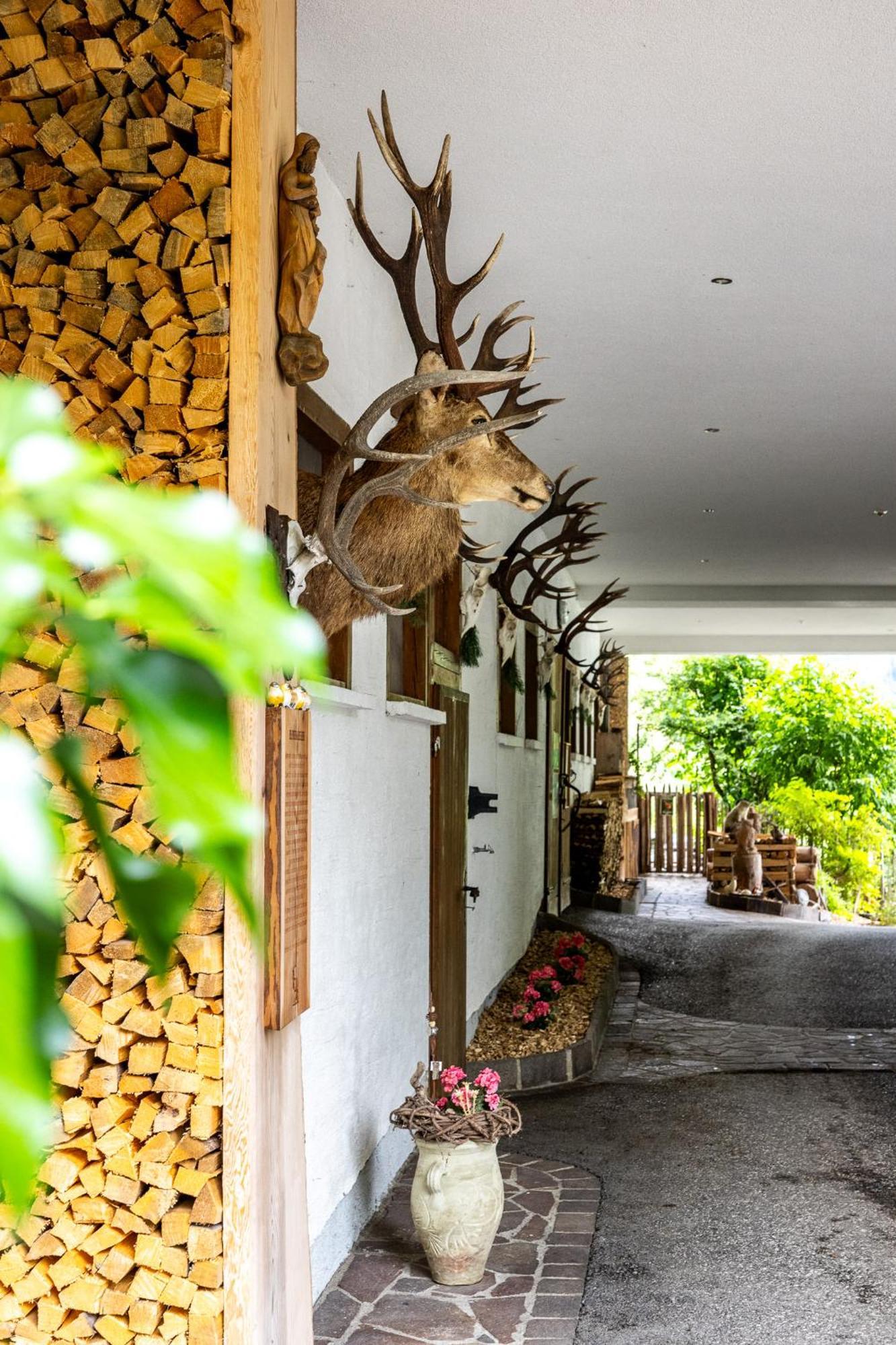 Der Lammhof - Appartements Kaswurm Wagrain Dış mekan fotoğraf